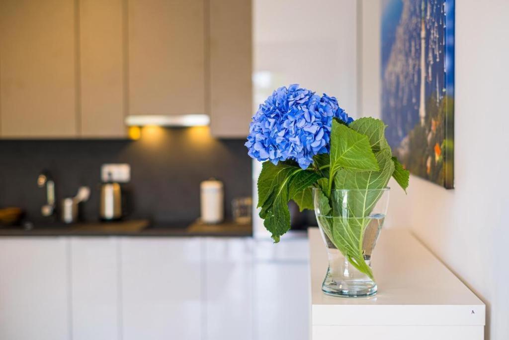 Fuered Luxury Apartman With Private Pool バラトンフレド エクステリア 写真